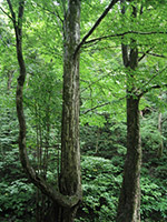 050927.jpg 150��200 20K